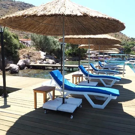 Almond Boutique B&B